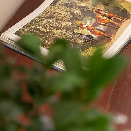 Casa vacanze Antica Ospitalità Del Borgo *